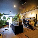 インテリアグリーンで楽しむボタニカルライフ