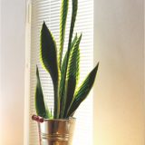 寒い季節を元気に乗り切る「空気環境改善リフォーム」