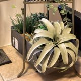 アイアン(!?)ボックス