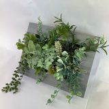 ウォールグリーン