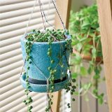 プランツハンギング