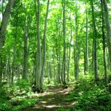 「香り」と「健康」の関係を考えた家づくり