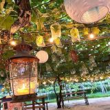 やまふじぶどう園