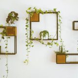 インドアグリーンで心身に潤いを